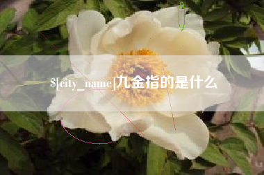 澧县九金指的是什么