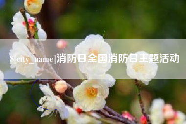 澧县消防日全国消防日主题活动