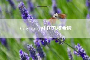 澧县中国九枚金牌