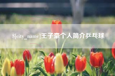 澧县王子豪个人简介乒乓球