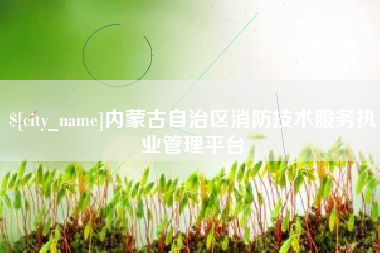 澧县内蒙古自治区消防技术服务执业管理平台