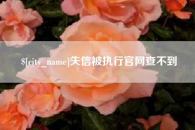 澧县失信被执行官网查不到