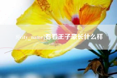 澧县看看王子豪长什么样
