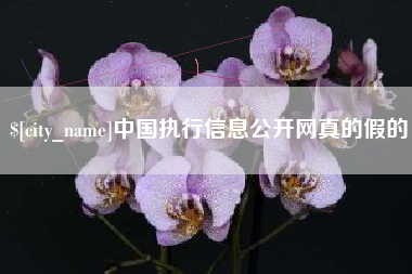 澧县中国执行信息公开网真的假的