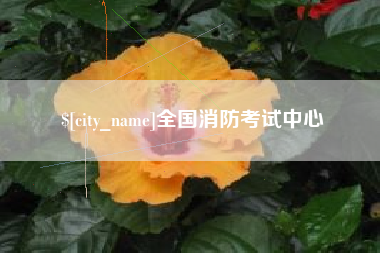 澧县全国消防考试中心