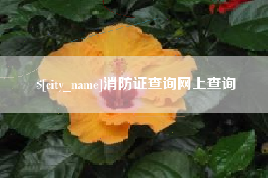 澧县消防证查询网上查询
