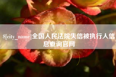 澧县全国人民法院失信被执行人信息查询官网