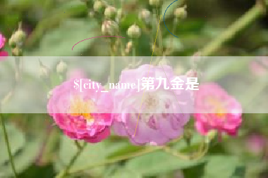 澧县第九金是