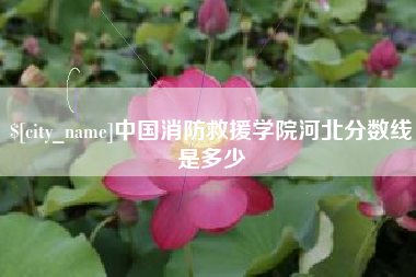 澧县中国消防救援学院河北分数线是多少