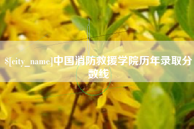 澧县中国消防救援学院历年录取分数线