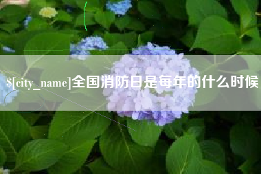 澧县全国消防日是每年的什么时候