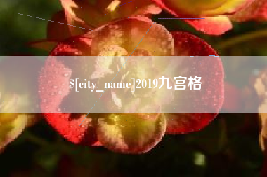 澧县2019九宫格