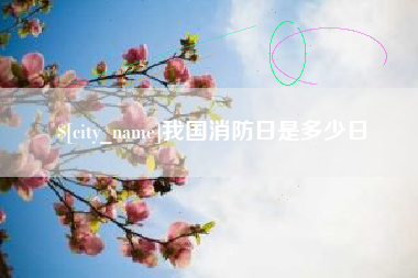 澧县我国消防日是多少日