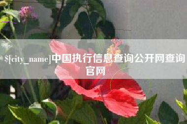 澧县中国执行信息查询公开网查询官网