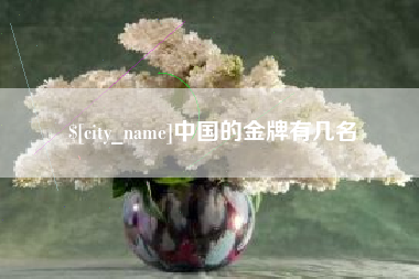 澧县中国的金牌有几名