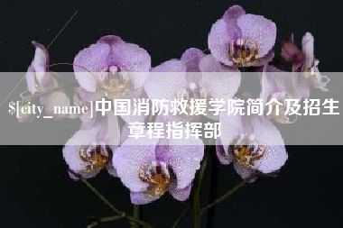 澧县中国消防救援学院简介及招生章程指挥部