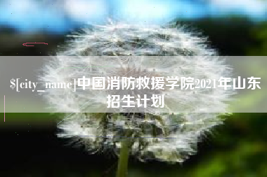 澧县中国消防救援学院2021年山东招生计划