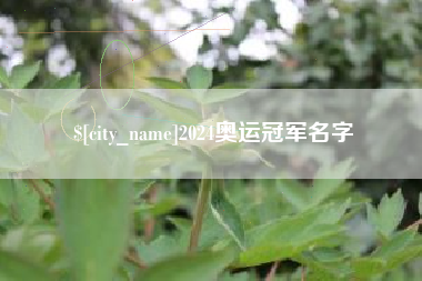 澧县2024奥运冠军名字