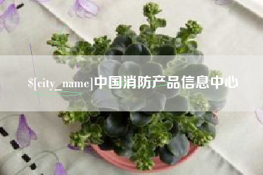 澧县中国消防产品信息中心
