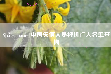 澧县中国失信人员被执行人名单查询