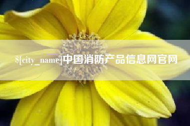 澧县中国消防产品信息网官网