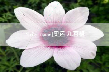 澧县奥运 九宫格
