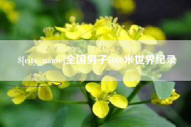 澧县全国男子5000米世界纪录