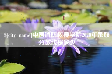 澧县中国消防救援学院2020年录取分数线是多少