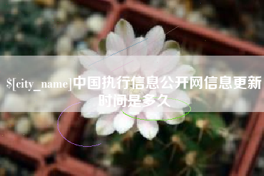 澧县中国执行信息公开网信息更新时间是多久