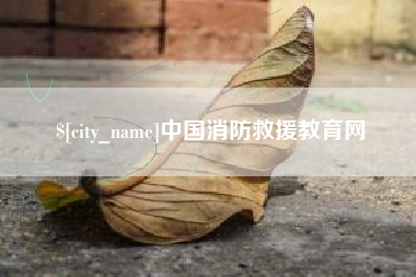 澧县中国消防救援教育网