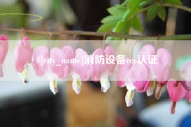 澧县消防设备ccc认证