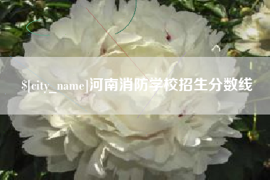 澧县河南消防学校招生分数线