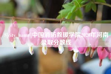 澧县中国消防救援学院2020年河南录取分数线