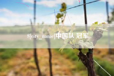 澧县中国队 冠军