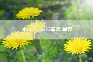 澧县张雪峰 军校