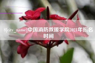 澧县中国消防救援学院2021年报名时间