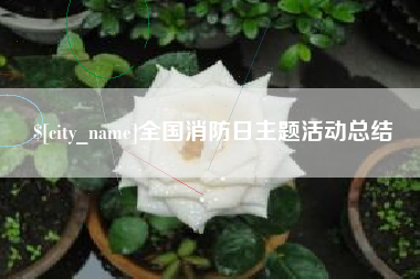 澧县全国消防日主题活动总结