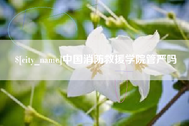 澧县中国消防救援学院管严吗