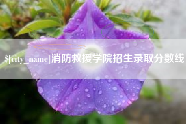 澧县消防救援学院招生录取分数线
