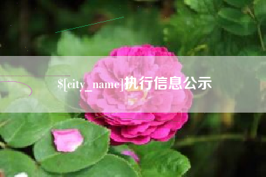 澧县执行信息公示