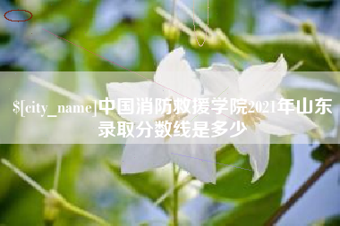 澧县中国消防救援学院2021年山东录取分数线是多少