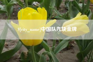 澧县中国队九块金牌
