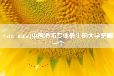 澧县中国消防专业最牛的大学是哪一个