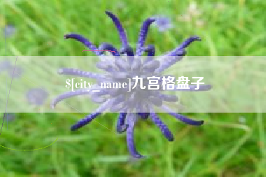 澧县九宫格盘子