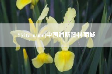 澧县中国消防器材商城