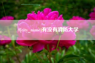 澧县有没有消防大学