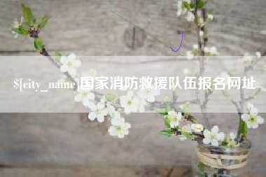 澧县国家消防救援队伍报名网址
