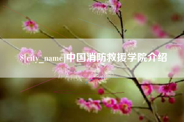 澧县中国消防救援学院介绍
