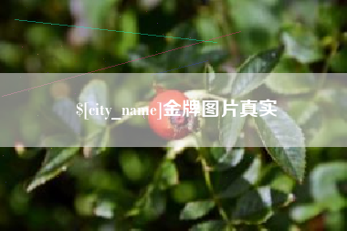 澧县金牌图片真实