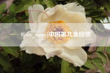 澧县中国第九金回放